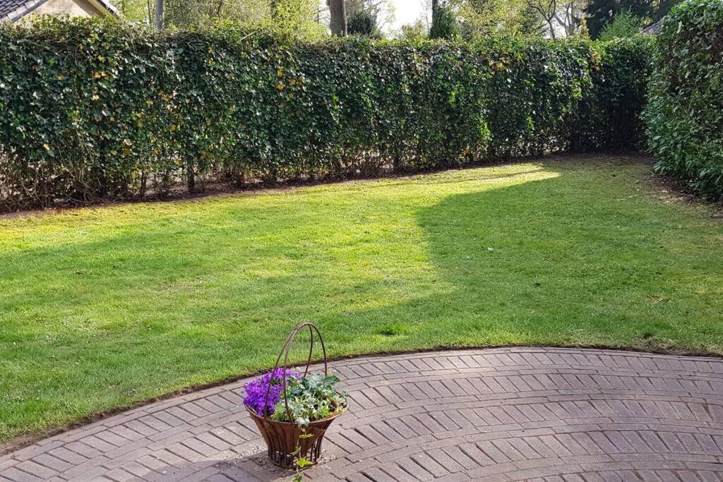 4-6 Persoons Vakantiewoning Met Eigen Tuin Villa Bakkeveen Eksteriør billede